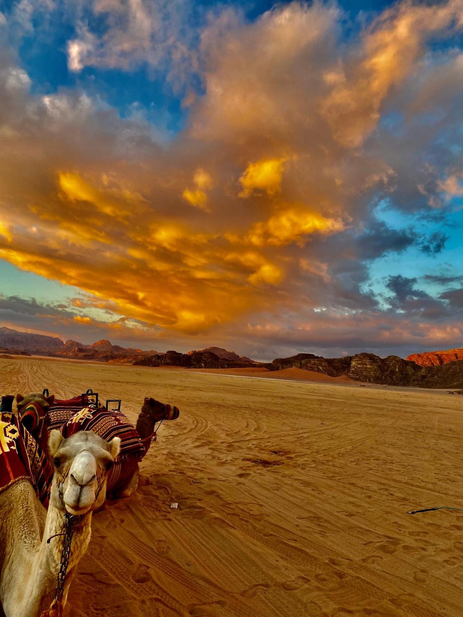 Rum Four Mountain Luxury Camp Ram Vadisi Dış mekan fotoğraf